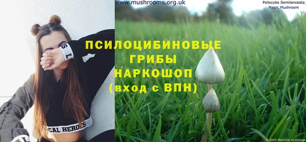 PSILOCYBIN Балахна